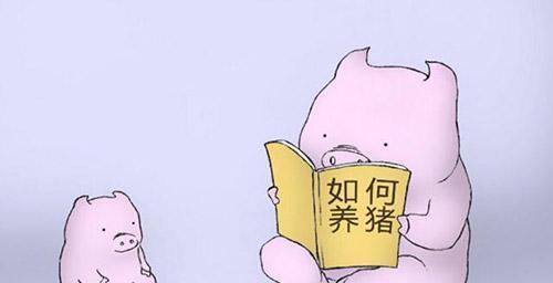 給豬用藥的幾大誤區(qū)！