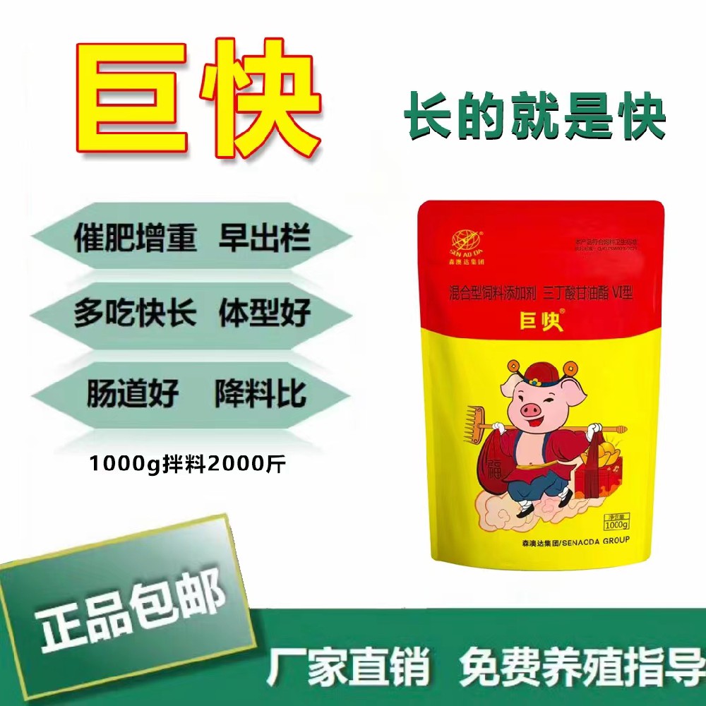 生豬如何高效催肥？