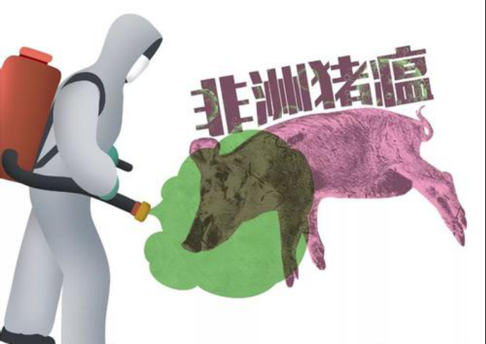 6月份最新一周國際動(dòng)物疫情動(dòng)態(tài)（非洲豬瘟）